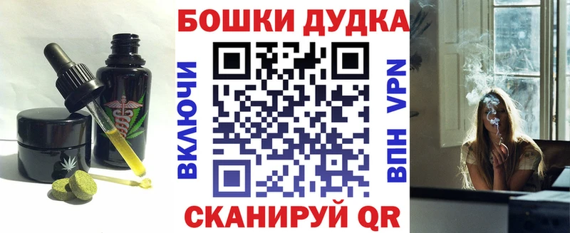 наркота  Темников  мега ССЫЛКА  Canna-Cookies марихуана 