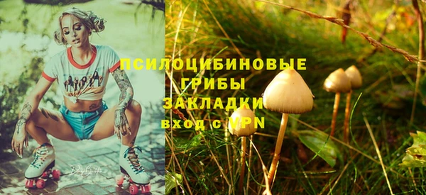 винт Абинск