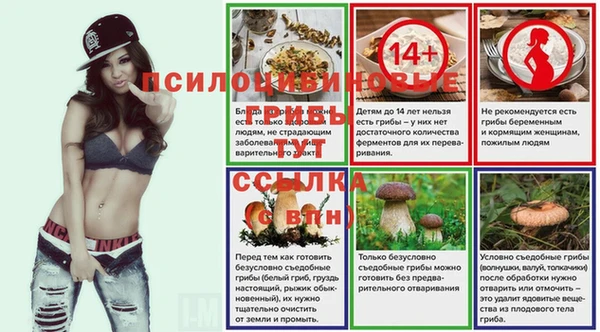 винт Абинск