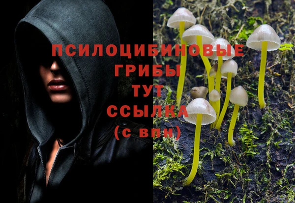 винт Абинск