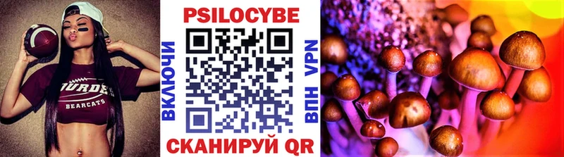 Псилоцибиновые грибы MAGIC MUSHROOMS  Темников 